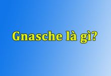 Gnasche là gì?