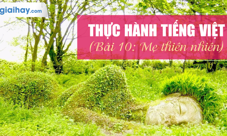 Soạn bài Thực hành Tiếng Việt bài 10 SGK Ngữ văn 6 tập 2 Chân trời sáng tạo siêu ngắn>