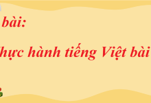 Soạn bài Thực hành tiếng Việt bài 9 SGK Ngữ Văn 7 tập 2 Chân trời sáng tạo - siêu ngắn>