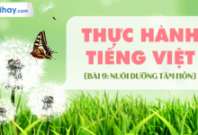 Soạn bài Thực hành Tiếng Việt bài 9 SGK Ngữ văn 6 tập 2 Chân trời sáng tạo siêu ngắn>