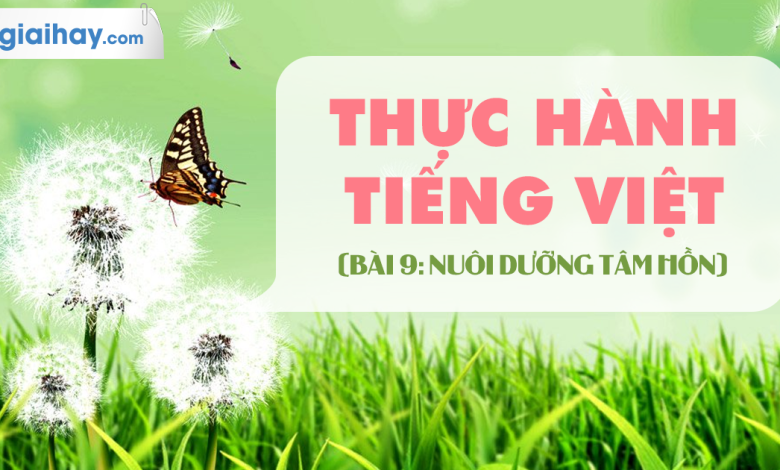 Soạn bài Thực hành Tiếng Việt bài 9 SGK Ngữ văn 6 tập 2 Chân trời sáng tạo siêu ngắn>