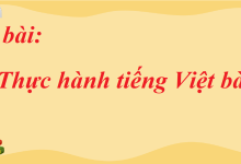 Soạn bài Thực hành tiếng Việt bài 8 SGK Ngữ Văn 7 tập 2 Chân trời sáng tạo - siêu ngắn>