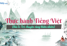 Soạn bài Thực hành Tiếng Việt bài 5 SGK Ngữ văn 6 tập 1 Chân trời sáng tạo siêu ngắn>
