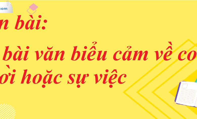 Soạn bài Viết bài văn biểu cảm về con người hoặc sự việc SGK Ngữ Văn 7 tập 1 Kết nối tri thức - siêu ngắn>