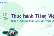 Soạn bài Thực hành Tiếng Việt bài 4 SGK Ngữ văn 6 tập 1 Chân trời sáng tạo siêu ngắn>