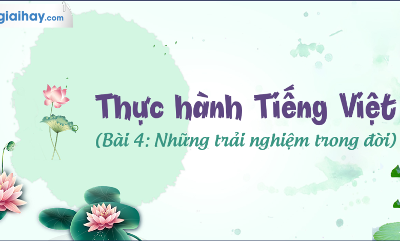 Soạn bài Thực hành Tiếng Việt bài 4 SGK Ngữ văn 6 tập 1 Chân trời sáng tạo siêu ngắn>