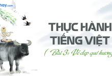 Soạn bài Thực hành Tiếng Việt bài 3 SGK Ngữ văn 6 tập 1 Chân trời sáng tạo siêu ngắn>