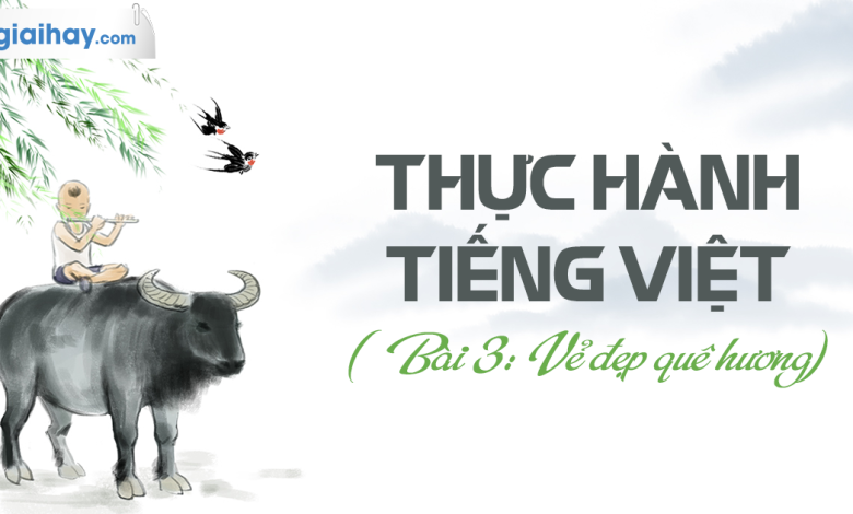 Soạn bài Thực hành Tiếng Việt bài 3 SGK Ngữ văn 6 tập 1 Chân trời sáng tạo siêu ngắn>