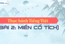 Soạn bài Thực hành Tiếng Việt bài 2 SGK Ngữ văn 6 tập 1 Chân trời sáng tạo siêu ngắn>