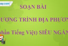 Soạn bài Chương trình địa phương phần Tiếng Việt siêu ngắn lớp 9 tập 1>