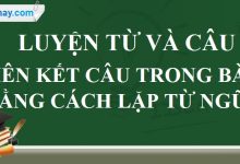 Luyện từ và câu: Liên kết các câu trong bài bằng cách lặp từ ngữ trang 71 SGK Tiếng Việt lớp 5 tập 2>