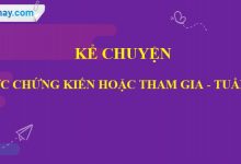 Kể chuyện: Kể chuyện được chứng kiến hoặc tham gia trang 57 SGK Tiếng Việt 5 tập 1>