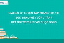 Bài 22: Luyện tập trang 102, 103 SGK Tiếng Việt 3 tập 1 Kết nối tri thức với cuộc sống>