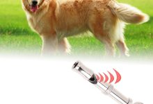 Chó nghe được siêu âm hay hạ âm?