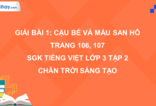 Bài 1: Cậu bé và mẩu san hô trang 106 SGK Tiếng Việt 3 tập 2 Chân trời sáng tạo>