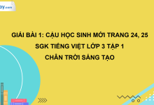 Bài 1: Cậu học sinh mới trang 24, 25 SGK Tiếng Việt 3 tập 1 Chân trời sáng tạo>