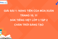 Bài 1: Chiếc áo của hoa đào trang 10, 11 SGK Tiếng Việt 3 tập 2 Chân trời sáng tạo>