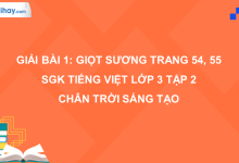 Bài 1: Giọt sương trang 54, 55 SGK Tiếng Việt 3 tập 2 Chân trời sáng tạo>