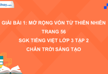 Bài 1: Mở rộng vốn từ Thiên nhiên trang 56 SGK Tiếng Việt 3 tập 2 Chân trời sáng tạo>