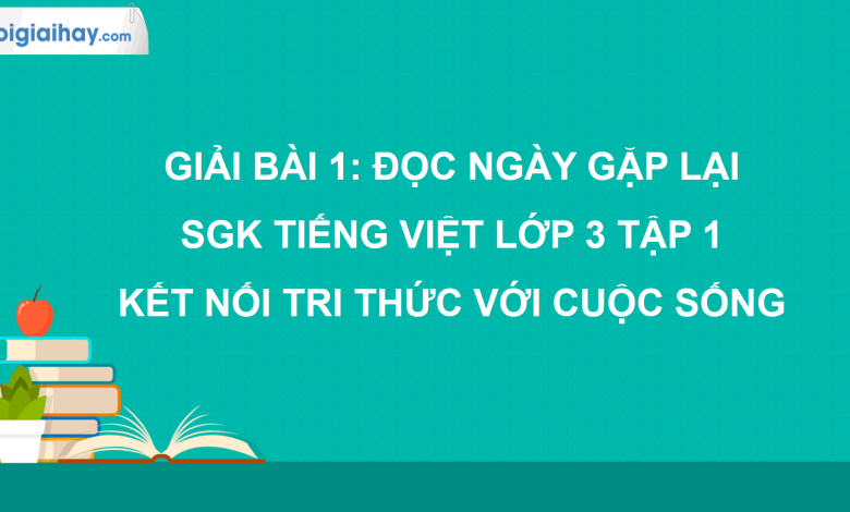 Bài 1: Ngày gặp lại trang 10, 11 SGK Tiếng Việt lớp 3 tập 1 Kết nối tri thức với cuộc sống>