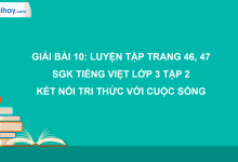 Bài 10: Luyện tập trang 46, 47 SGK Tiếng Việt 3 tập 2 Kết nối tri thức với cuộc sống>
