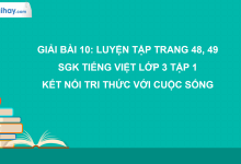 Bài 10: Luyện tập trang 48, 49 SGK Tiếng Việt 3 tập 1 Kết nối tri thức với cuộc sống>