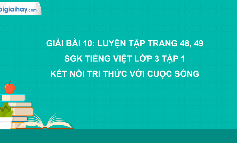 Bài 10: Luyện tập trang 48, 49 SGK Tiếng Việt 3 tập 1 Kết nối tri thức với cuộc sống>