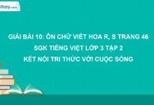 Bài 10: Ôn chữ viết hoa R, S trang 46 SGK Tiếng Việt 3 tập 2 Kết nối tri thức với cuộc sống>