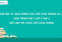 Bài 10: Quả hồng của thỏ con trang 44, 45 SGK Tiếng Việt 3 tập 2 Kết nối tri thức với cuộc sống>
