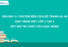 Bài 11: Chuyện bên cửa sổ trang 48, 49 SGK Tiếng Việt 3 tập 2 Kết nối tri thức với cuộc sống>