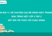 Bài 11: Kể chuyện Cậu bé đánh giày trang 49 SGK Tiếng Việt 3 tập 2 Kết nối tri thức với cuộc sống>