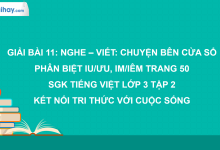 Bài 11: Nghe - viết: Chuyện bên cửa sổ trang 50 SGK Tiếng Việt 3 tập 2 Kết nối tri thức với cuộc sống>