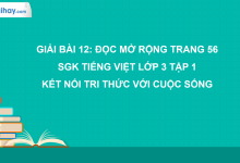 Bài 12: Đọc mở rộng trang 56 SGK Tiếng Việt 3 tập 1 Kết nối tri thức với cuộc sống>