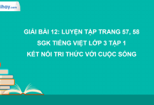 Bài 12: Luyện tập trang 57, 58 SGK Tiếng Việt 3 tập 1 Kết nối tri thức với cuộc sống>