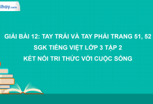 Bài 12: Tay trái và tay phải trang 51, 52 SGK Tiếng Việt 3 tập 2 Kết nối tri thức với cuộc sống>