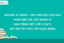 Bài 13: Nghe - viết: Bài học của gấu trang 57 SGK Tiếng Việt 3 tập 2 Kết nối tri thức với cuộc sống>