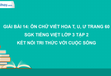 Bài 14: Ôn chữ viết hoa T, U, Ư trang 60 SGK Tiếng Việt 3 tập 2 Kết nối tri thức với cuộc sống>