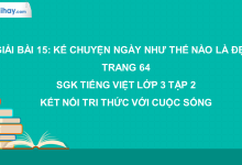 Bài 15: Kể chuyện Ngày như thế nào là đẹp? trang 64 SGK Tiếng Việt lớp 3 tập 2 Kết nối tri thức với cuộc sống>