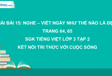 Bài 15: Nghe - viết: Ngày như thế nào là đẹp? trang 64, 65 SGK Tiếng Việt lớp 3 tập 2 Kết nối tri thức với cuộc sống>