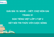 Bài 19: Nghe - viết: Chợ Hòn gai trang 91 SGK Tiếng Việt lớp 3 tập 2 Kết nối tri thức với cuộc sống>