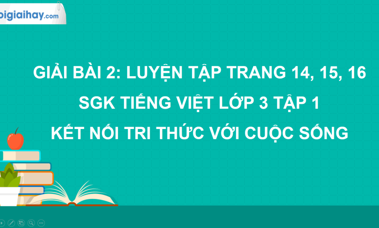 Bài 2: Luyện tập trang 14, 15, 16 SGK Tiếng Việt lớp 3 tập 1 Kết nối tri thức với cuộc sống>