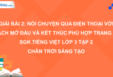 Bài 2: Nói chuyện qua điện thoại với cách mở đầu và kết thúc phù hợp trang 83 SGK Tiếng Việt 3 tập 2 Chân trời sáng tạo>