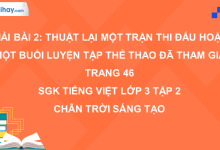 Bài 2: Thuật lại một trận thi đấu hoặc một buổi luyện tập thể thao đã tham gia trang 46 SGK Tiếng Việt 3 tập 2 Chân trời sáng tạo>