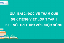Bài 2: Về thăm quê trang 13, 14 SGK Tiếng Việt lớp 3 tập 1 Kết nối tri thức với cuộc sống>