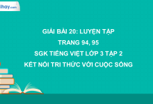 Bài 20: Luyện tập trang 94, 95 SGK Tiếng Việt lớp 3 tập 2 Kết nối tri thức với cuộc sống>