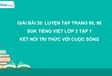 Bài 20: Luyện tập trang 95, 96 SGK Tiếng Việt 3 tập 1 Kết nối tri thức với cuộc sống>