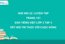 Bài 22: Luyện tập trang 102, 103 SGK Tiếng Việt lớp 3 tập 2 Kết nối tri thức với cuộc sống>