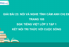 Bài 23: Tình cảm anh chị em trang 105, 106 SGK Tiếng Việt 3 tập 1 Kết nối tri thức với cuộc sống>