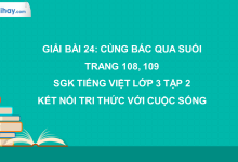 Bài 24: Cùng Bác qua suối trang 108, 109 SGK Tiếng Việt lớp 3 tập 2 Kết nối tri thức với cuộc sống>
