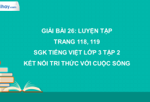 Bài 26: Luyện tập trang 118, 119 SGK Tiếng Việt lớp 3 tập 2 Kết nối tri thức với cuộc sống>